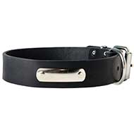 C456 - PRICE LEVEL 2 - Identification Leather Dog Collar for Walking and Training
